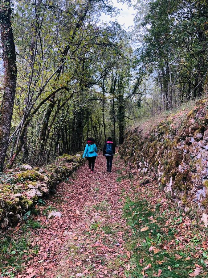 Chateau Le Mas De Montet Petit-Bersac Εξωτερικό φωτογραφία
